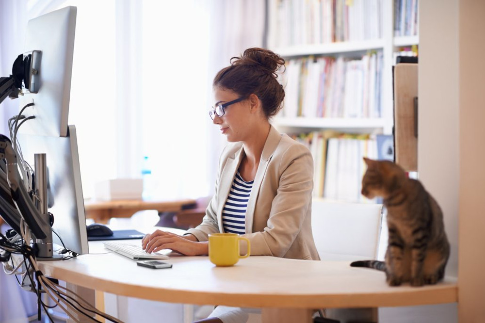 User on a computer